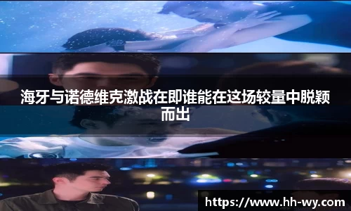 海牙与诺德维克激战在即谁能在这场较量中脱颖而出